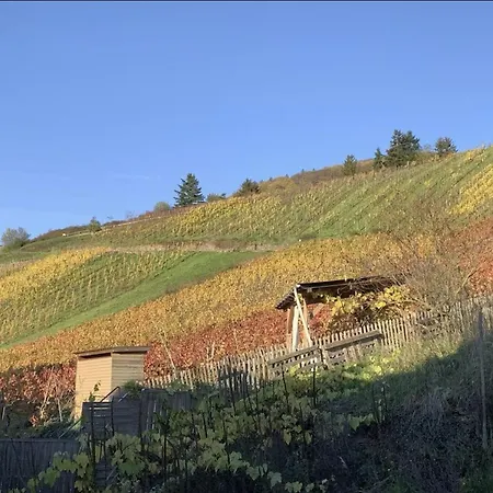 Mosel * Zell