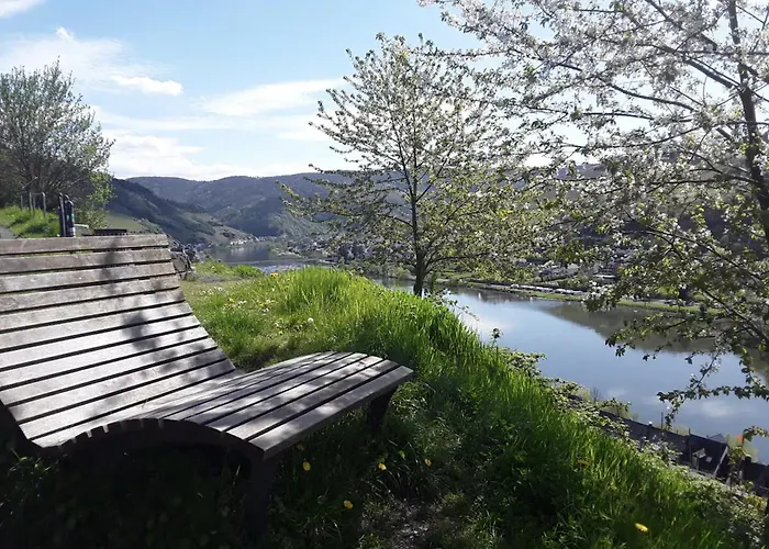 Mosel Ferienhaus Zell