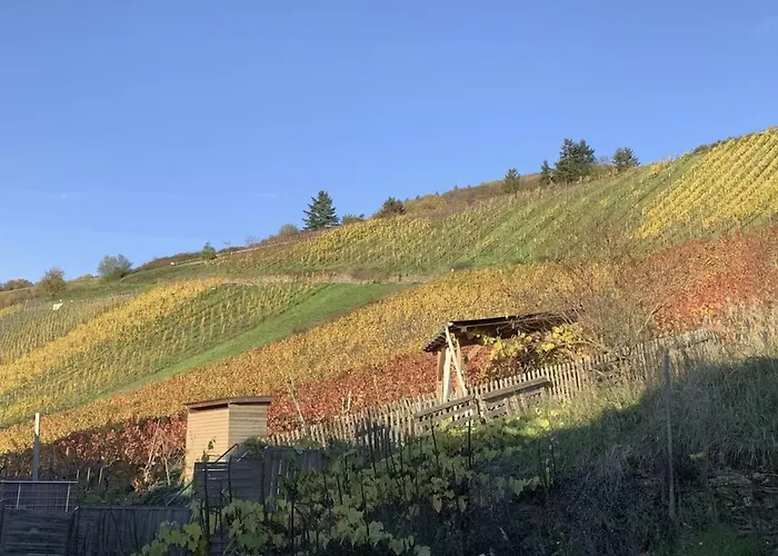 Mosel * 摩泽尔河畔的泽尔