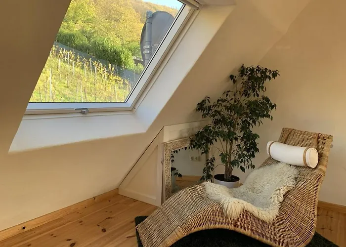 Mosel * 摩泽尔河畔的泽尔